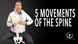 5 Movements of the Spine | Yoga Anatomy