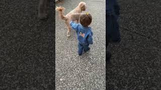 A vintage Ralph Lauren Happy Babies Kidz View  ‎#HappyBabiesKidzview 