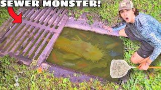 I Found a Sewer INFESTED with MONSTER AQUARIUM FISH! | Bass fishing Productions