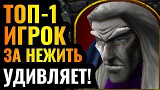 НЕЖИТЬ БЕЗ ПАУКОВ: НОВАЯ СТРАТЕГИЯ от ЧЕМПИОНА МИРА в Warcraft 3 Reforged