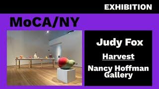 Vulnerable Cultivars: Judy Fox's  "Harvest" at Nancy Hoffman Gallery