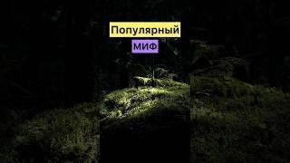 ОПАСНЫЙ МИФ