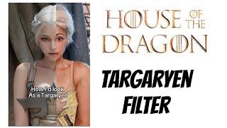 House of the Dragon - Targaryen Filter