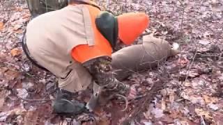 2016 PA rifle buck