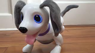 Zoomer Playful Pup All Voice Commands