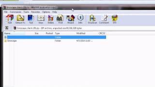 sinzscape client v59 download