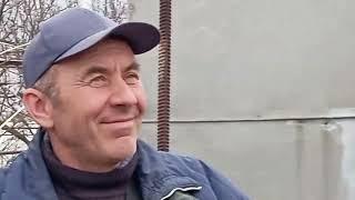 Мелитопольские голуби. Порода? На бумаге. Или...