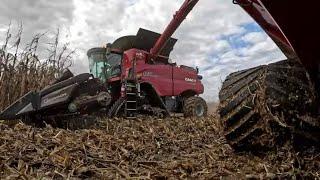 This is Why Our Combines & Tractors Have Tracks ( Day 17-20 of Harvest) Season 5 Episode 31