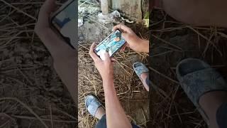 SOHAG #freefire #shortvideo
