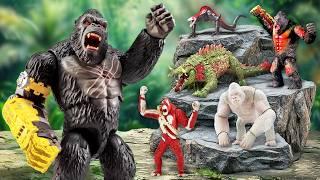 New Colossal Box 46 GODZILLA X KONG, New Empire Toys King Kong Toys Skull Island | Amazing Dinosaurs