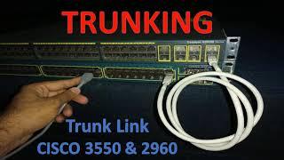 how to configure trunk port on cisco switch | Trunk Port configuration