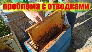 Слабые отводки в зиму. Подготовка слабых пчелиных отводков к зимовке на улице