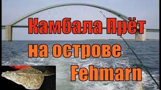 Морская Рыбалка на острове Fehmarn, Ловля Камбалы в ноябре23