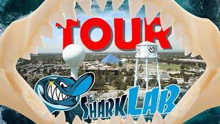 Visiting the Shark Lab | Cal State Long Beach | Tour