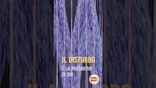 Il Rumore | Videology