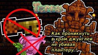 Как проникнуть в данж джунглей не убивая плантеру!