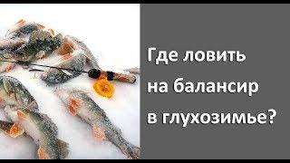 Где ловить в глухозимье на балансир? Зимняя рыбалка на нижней Волге!