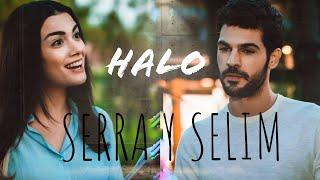 SERRA Y SELIM | • HALO •