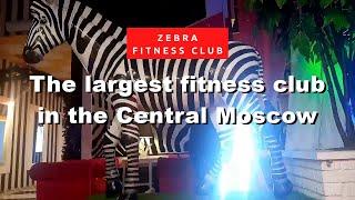 ZEBRA FITNESS CLUB  - The Largest Fitness Club in the Central Moscow #Россия