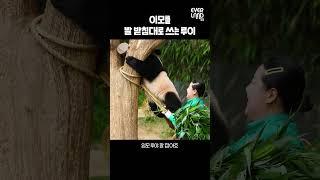 등산 꿈나무 루이와 임모의 환상 콜라보│#shorts #아기판다 #babypanda #twins