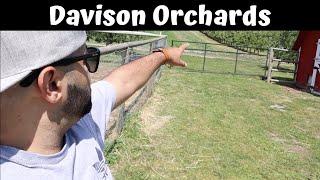 Davison Orchards | Family Farm | Things to do in Vernon