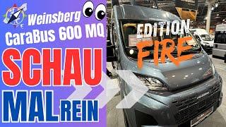 Weinsberg CaraBus 600 MQ EDITION [FIRE] - der "erste" Blick in den Camper - SCHAU MAL REIN