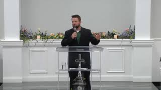 Tree of Life Ministries