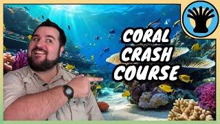 Coral: The important thing you know nothing about