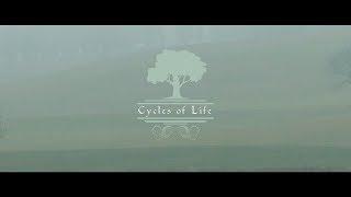 Cycles of Life || Estas Tonne