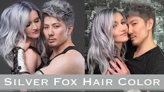 Silver Fox Hair Color