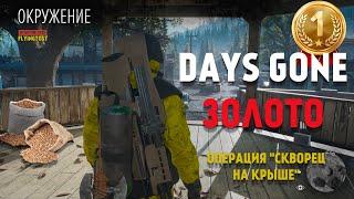 Days Gone на "ЗОЛОТО" по-русски с выдумкой | Испытания | Окружение