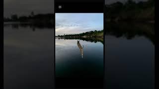 Flathead fishing#fishingaustralia#flathead #flatheadfishing @MMDfishing #lurefishing#luresfishing