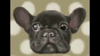 Procreate: French Bulldog 小法斗