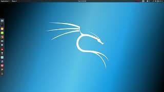 how to install (.exe) file in kali linux