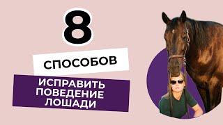 8 СПОСОБОВ избавиться от вредной привычки лошади!