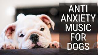 Anti Anxiety Music To Relax Dogs: Separation Anxiety Stress Relief