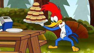 Who Stole Woody's Hamburgers? | 1 Hour of Woody Woodpecker Full Episodes