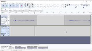 Rerecord a Section while using Audacity