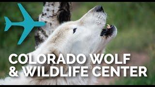 Vegan Travel to Colorado Wolf & Wildlife Center