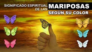 Significado espiritual de LAS MARIPOSAS  Según su color | Qué significan  #mariposas