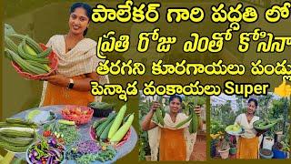 ప్రతి రోజు అదిరి పోవాల్సిందే హార్వెస్ట్ | Small Garden Biggest Harvest | Farmer Jyothi