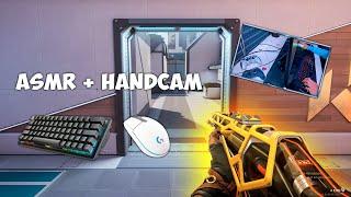 Logitech G102 Valorant Jett gameplay!! Asmr + Handcam