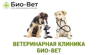 Ветеринарная клиника Био-Вет