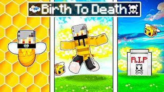 The BIRTH to DEATH of a Minecraft Bee!  (Hindi)