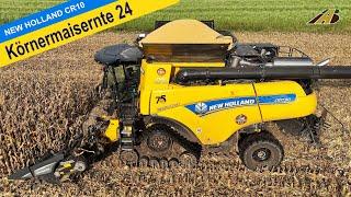 Mähdrescher New Holland CR10.90 & Pflücker - Körnermais dreschen - Maisernte 2024  Landwirtschaft