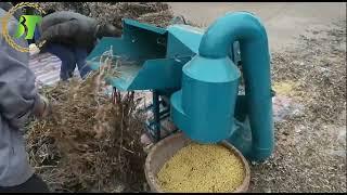 CHANGTIAN Newest corn soybean thresher #farm #farm #thresher #threshermachine