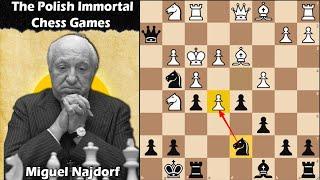 The Polish Immortal Chess Game | Glucksberg vs Najdorf 1929