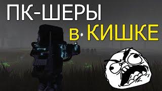 ПК-ШЕРЫ в КИШКЕ STALCRAFT