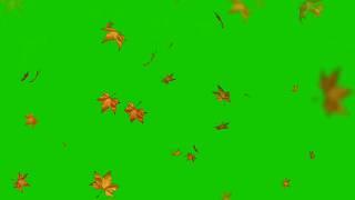 FALLING LEAVES #GREENSCREEN #effects #MadewithKineMaster