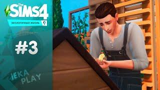 Что происходит? / The Sims 4 Экологичная жизнь - #3